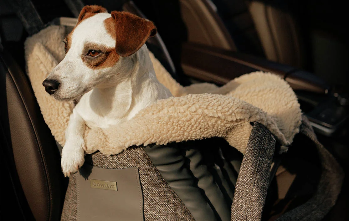 Cadillac XT5 Dog Carrier Car Seat for Smooth Fox Terrier