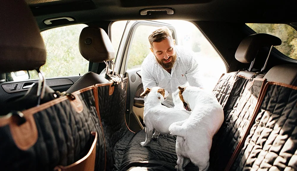 dog back seat cover for Hyundai Sonata