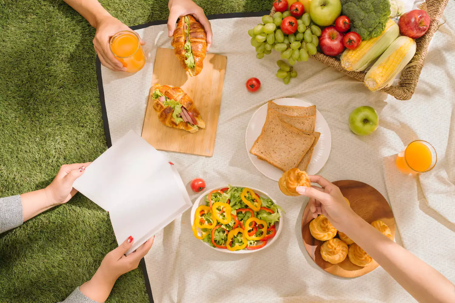 neutral picnic blanket