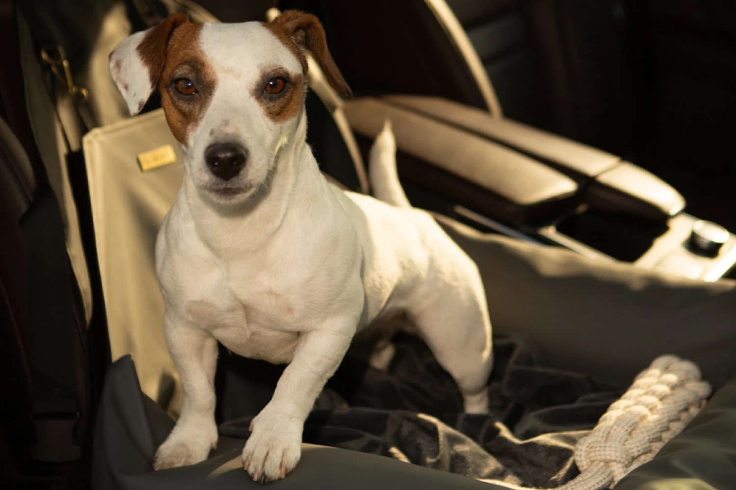 Volkswagen Jetta Dog Car Seat for Bull Terriers