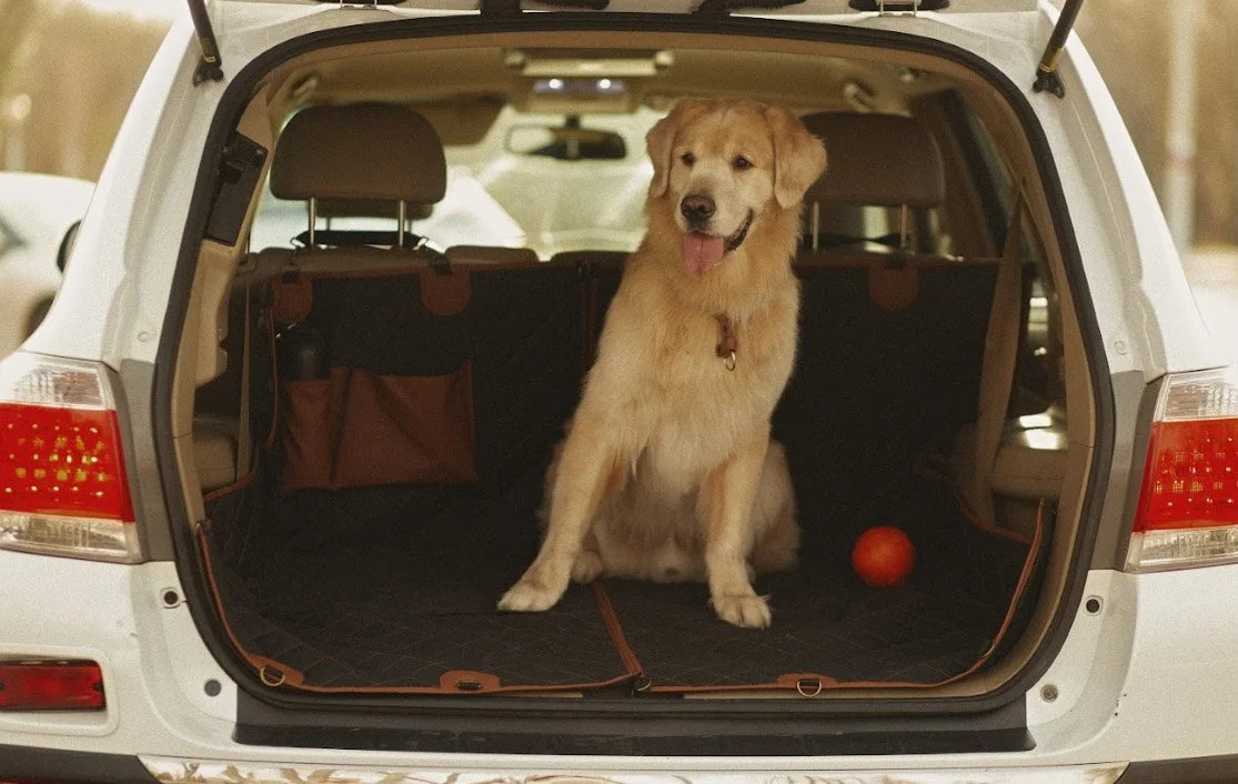 pet seat cover for Hyundai Elantra