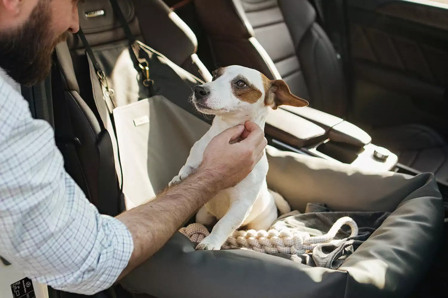 Chevrolet Impala Dog Car Seat for Dachshunds