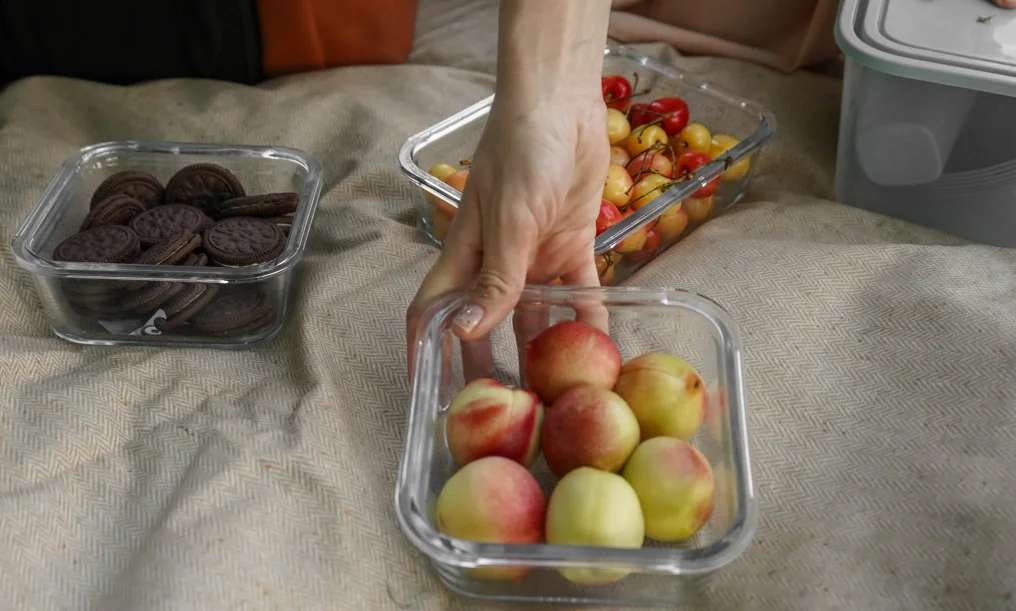 extra large picnic blanket