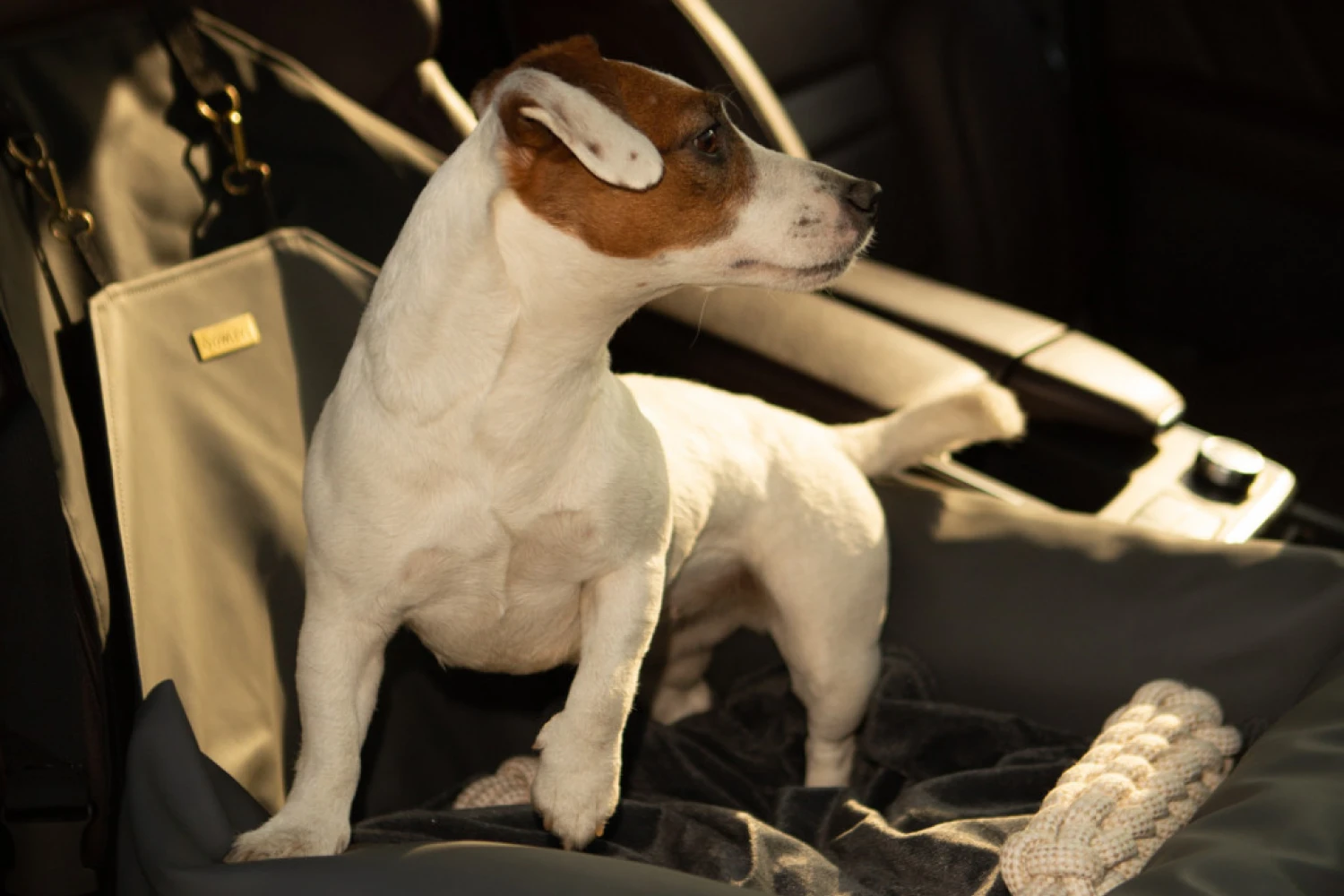 Brussels Griffons Dog Car Seat for Dodge Durango