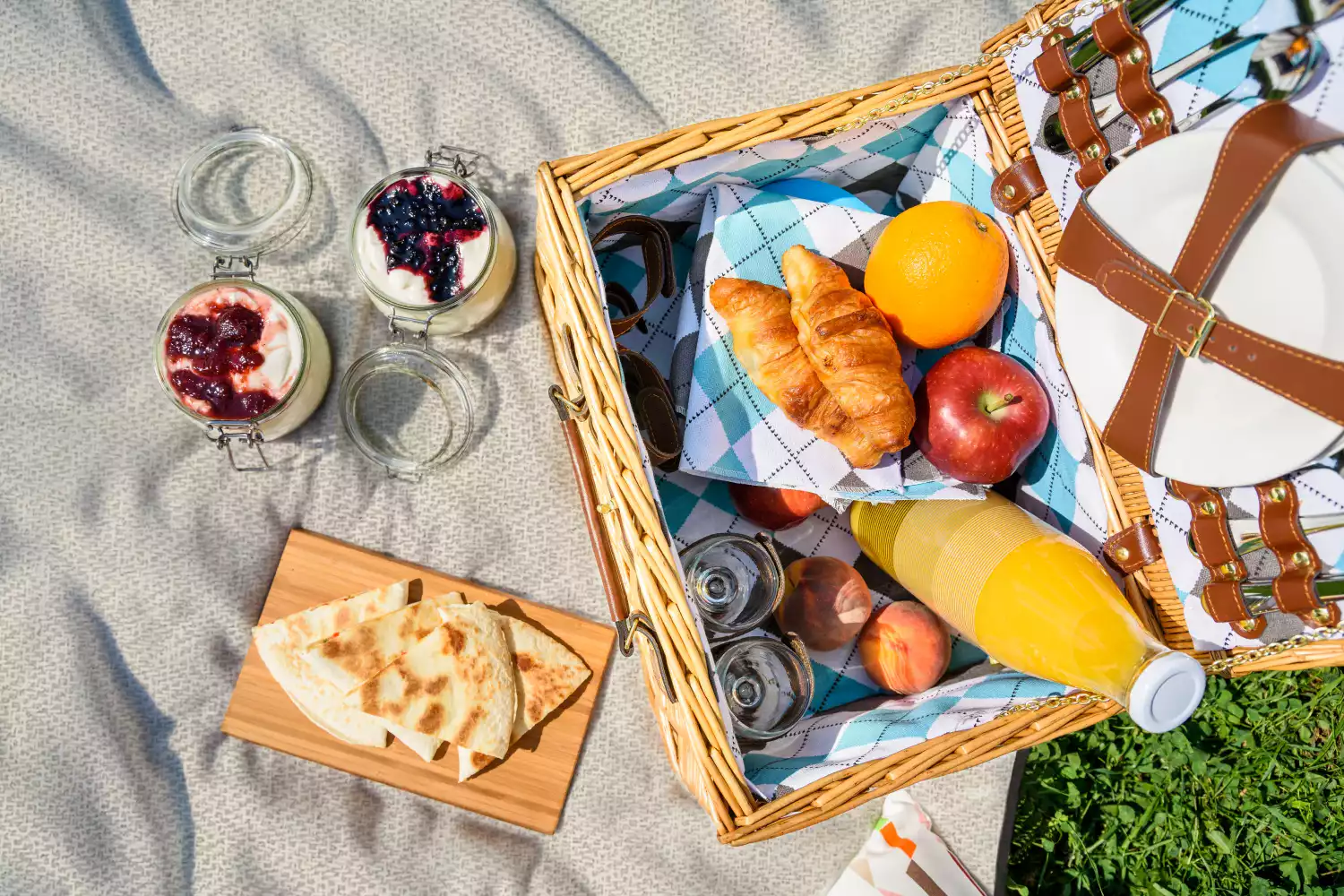 modern picnic blanket